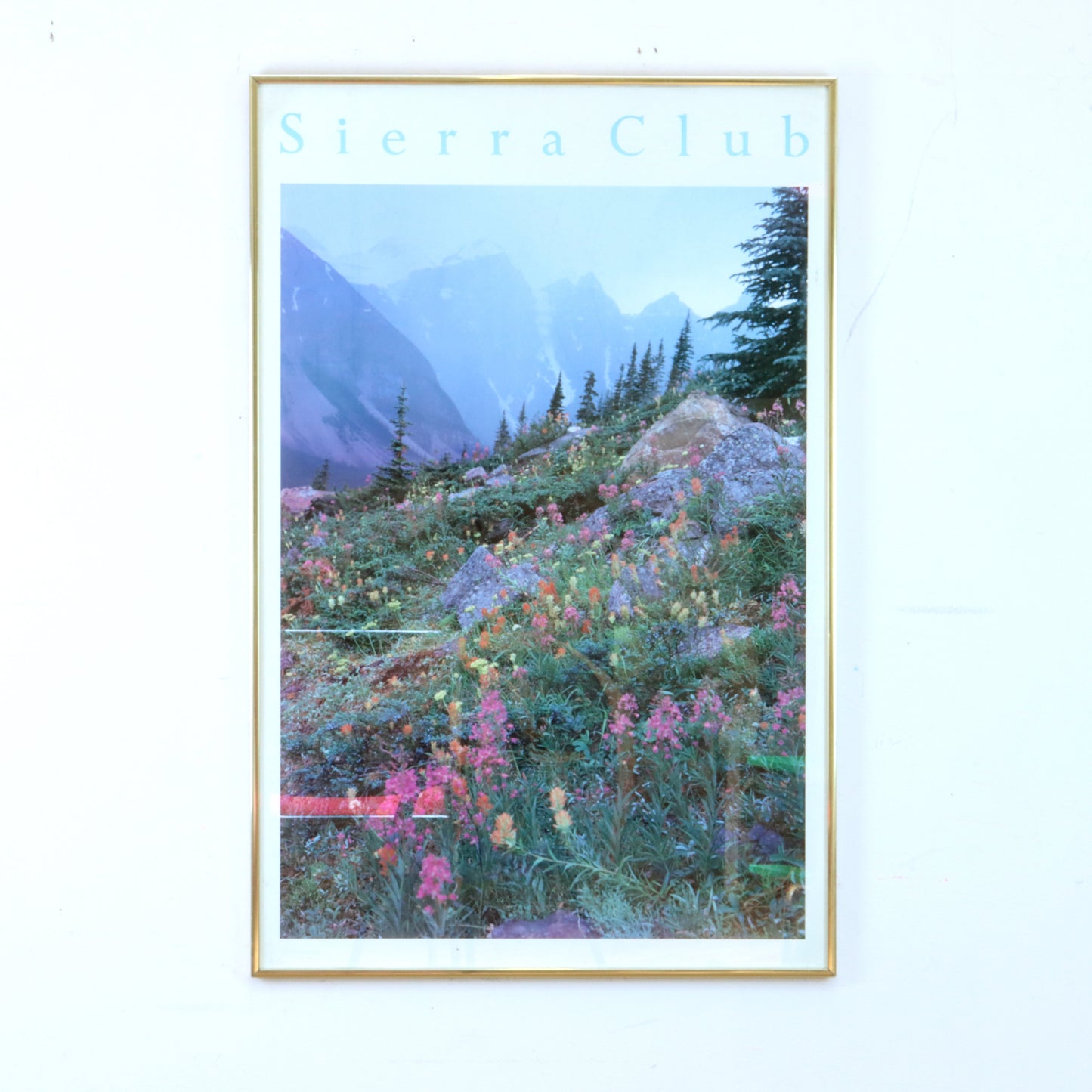 Vintage Framed Sierra Club Poster