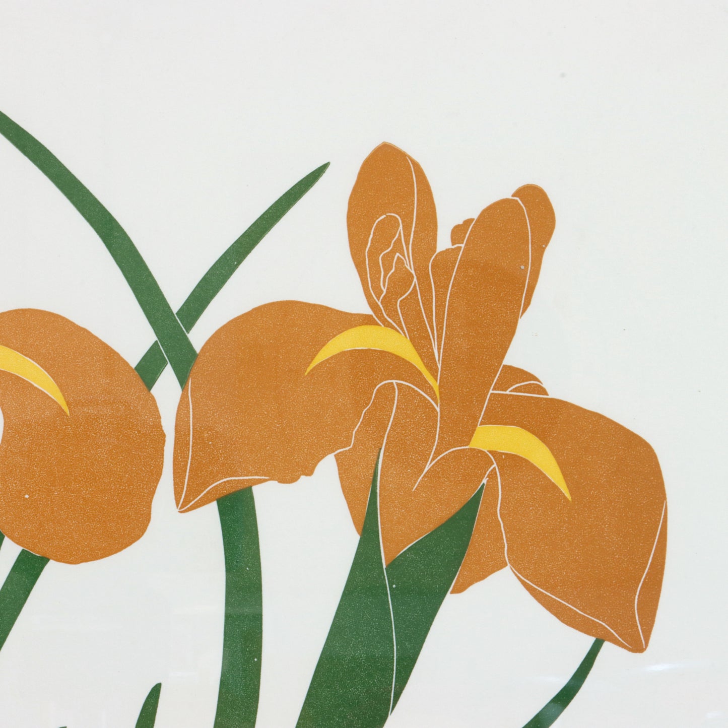 1983 "Iris" by Henry Evans
