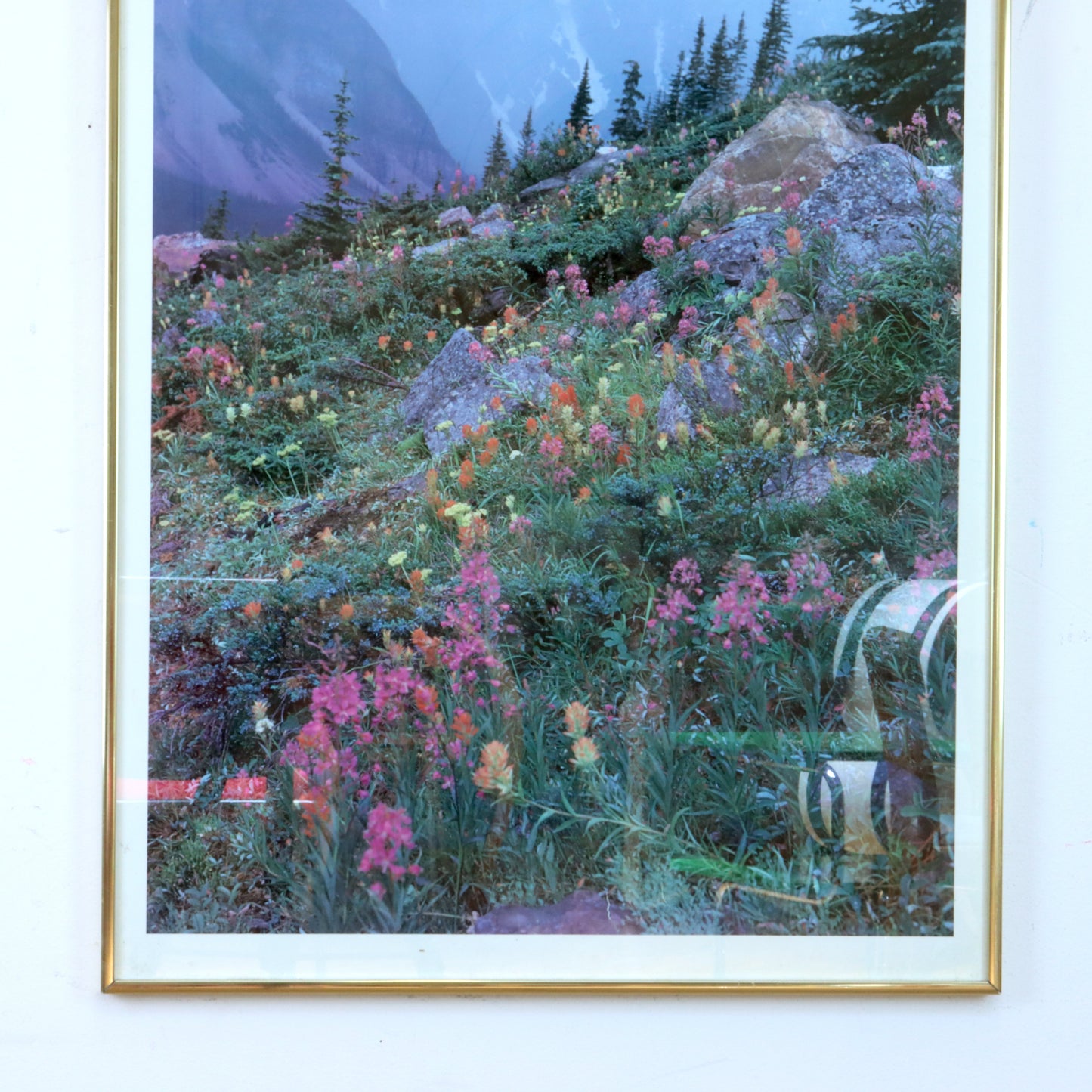 Vintage Framed Sierra Club Poster
