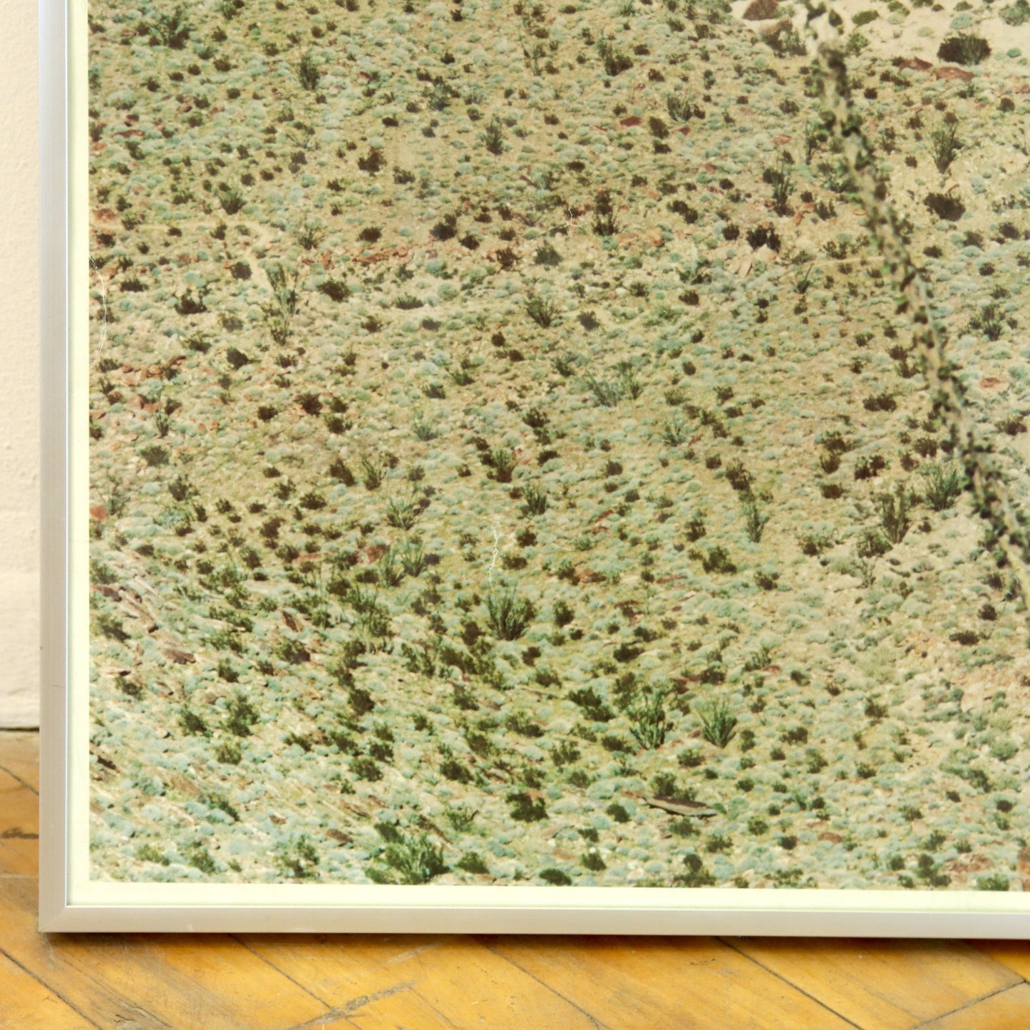 Vintage Ocotillo Flats Photograph Print