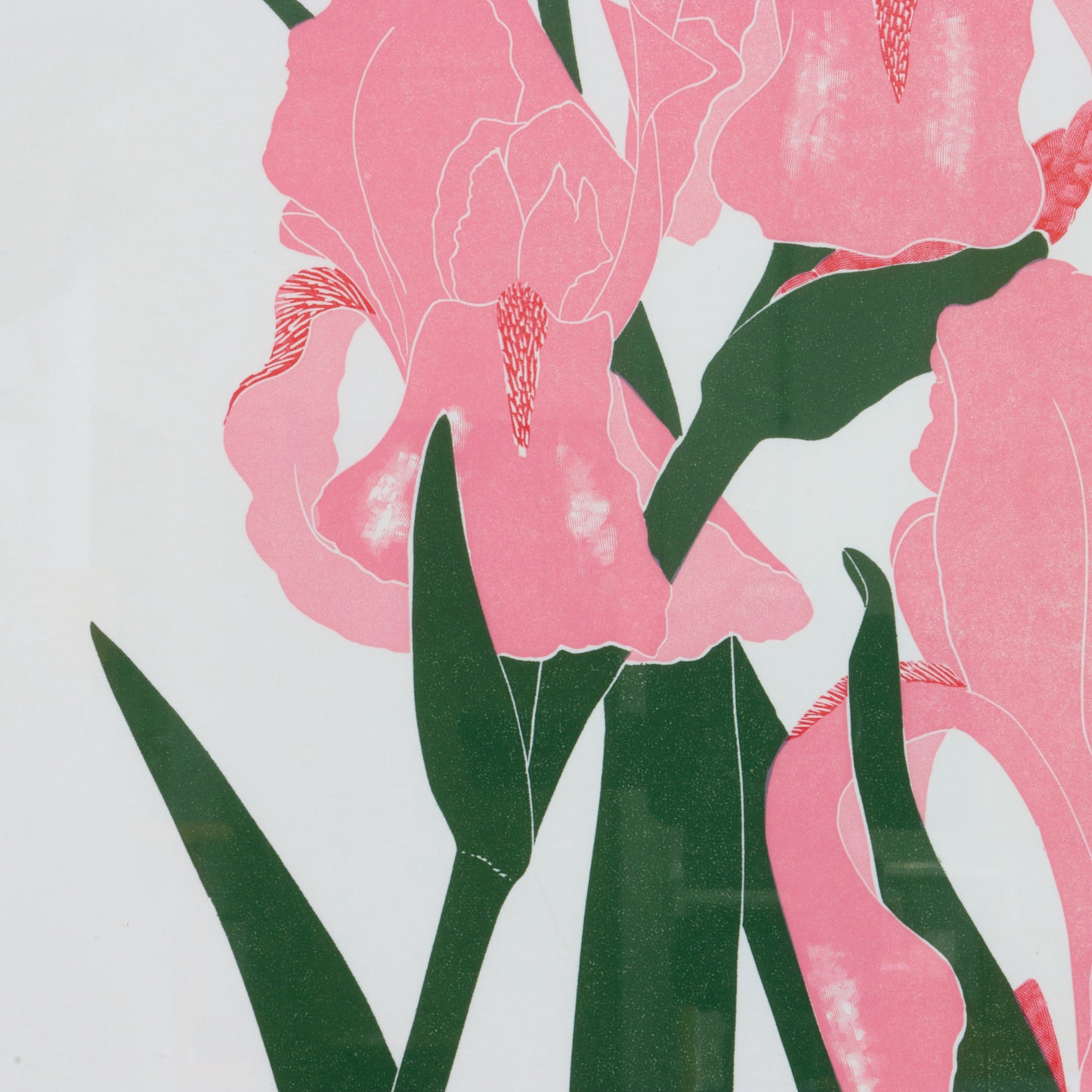 1983 "Iris" by Henry Evans
