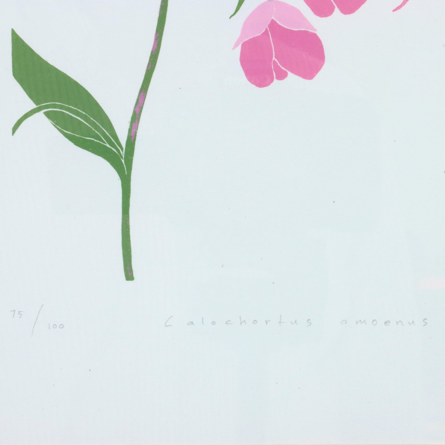 1988 Flower Screen Print