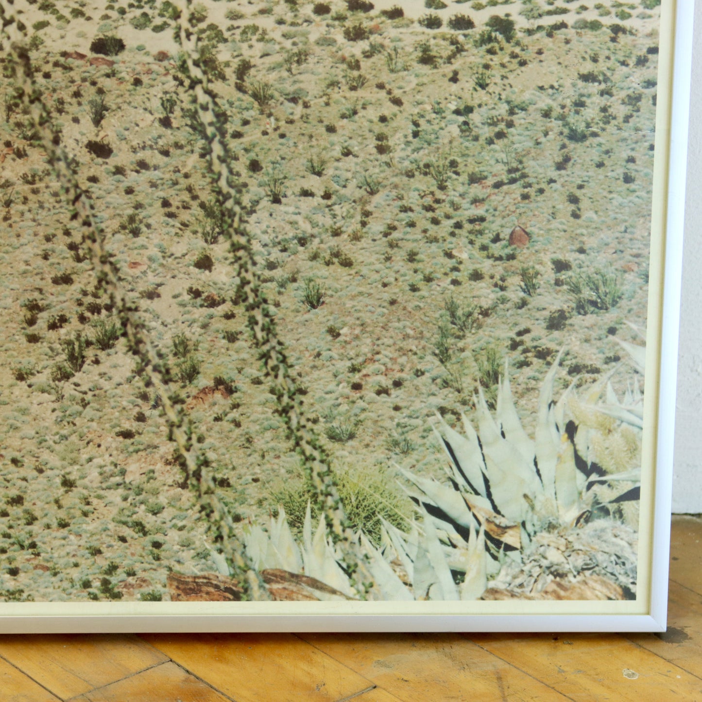 Vintage Ocotillo Flats Photograph Print