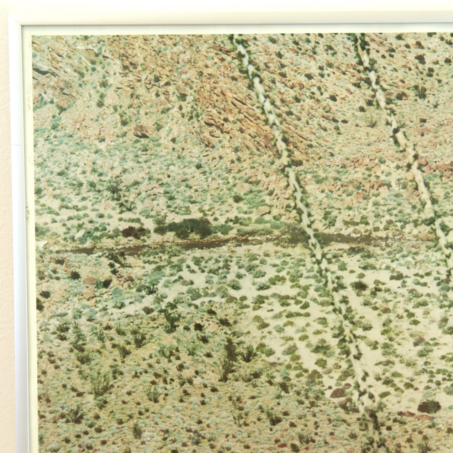 Vintage Ocotillo Flats Photograph Print