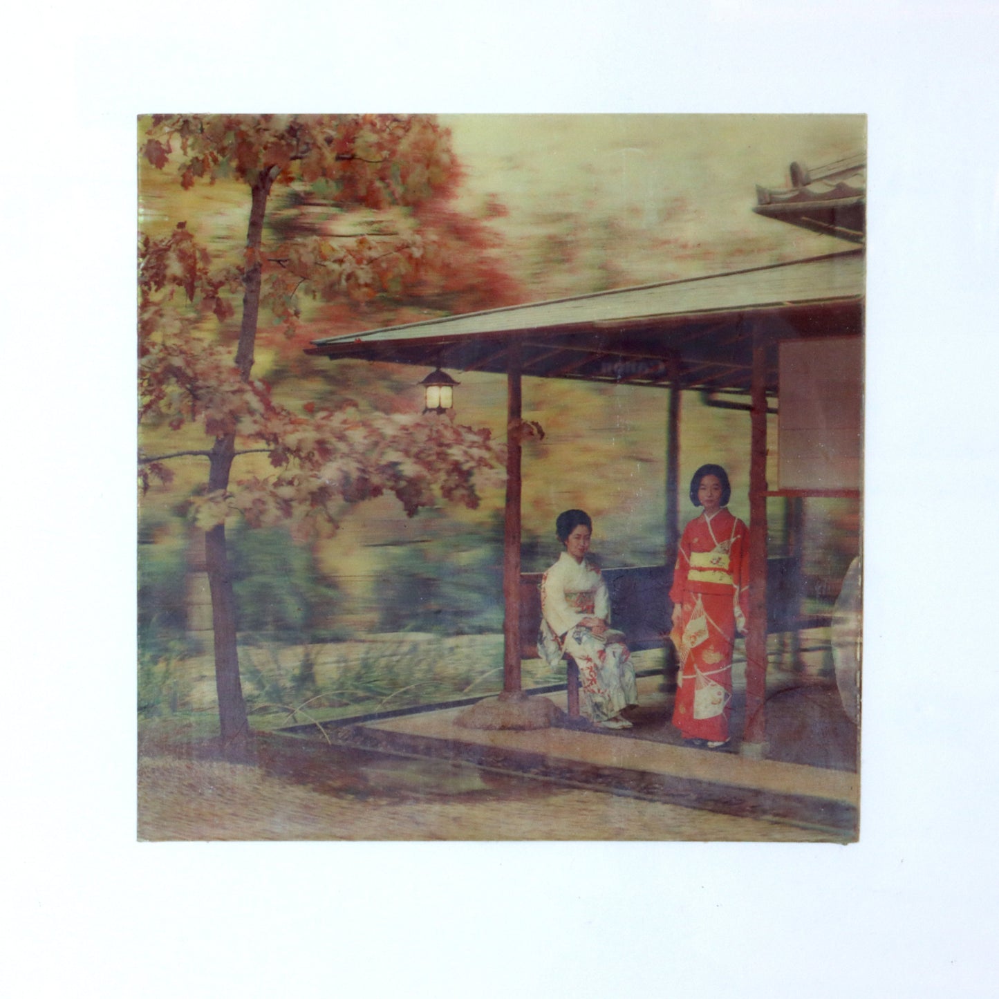 1969 Lenticular Photograph