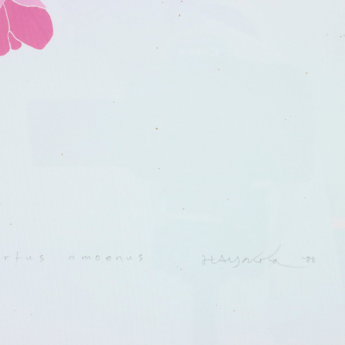 1988 Flower Screen Print