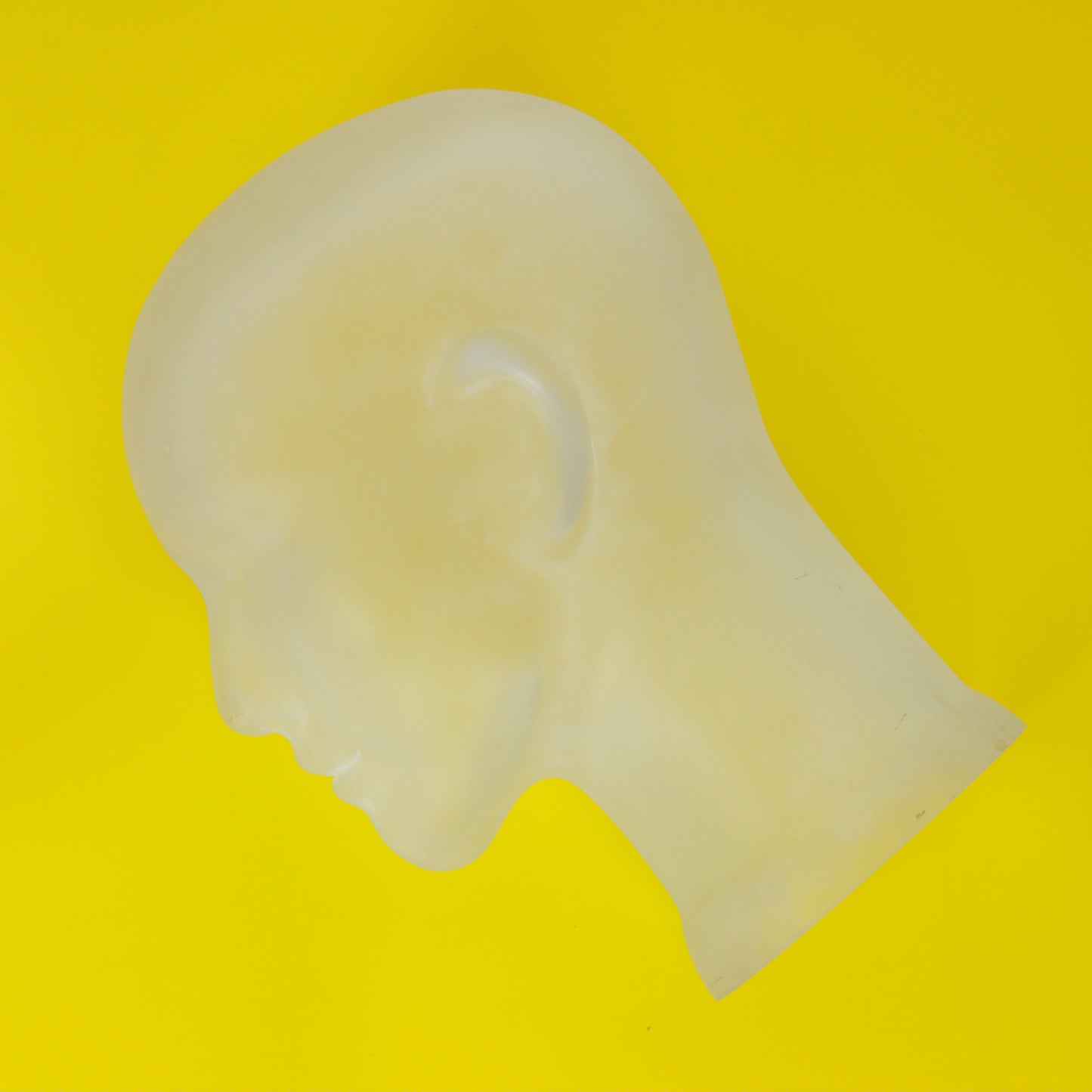Vintage Frosted Glass Head