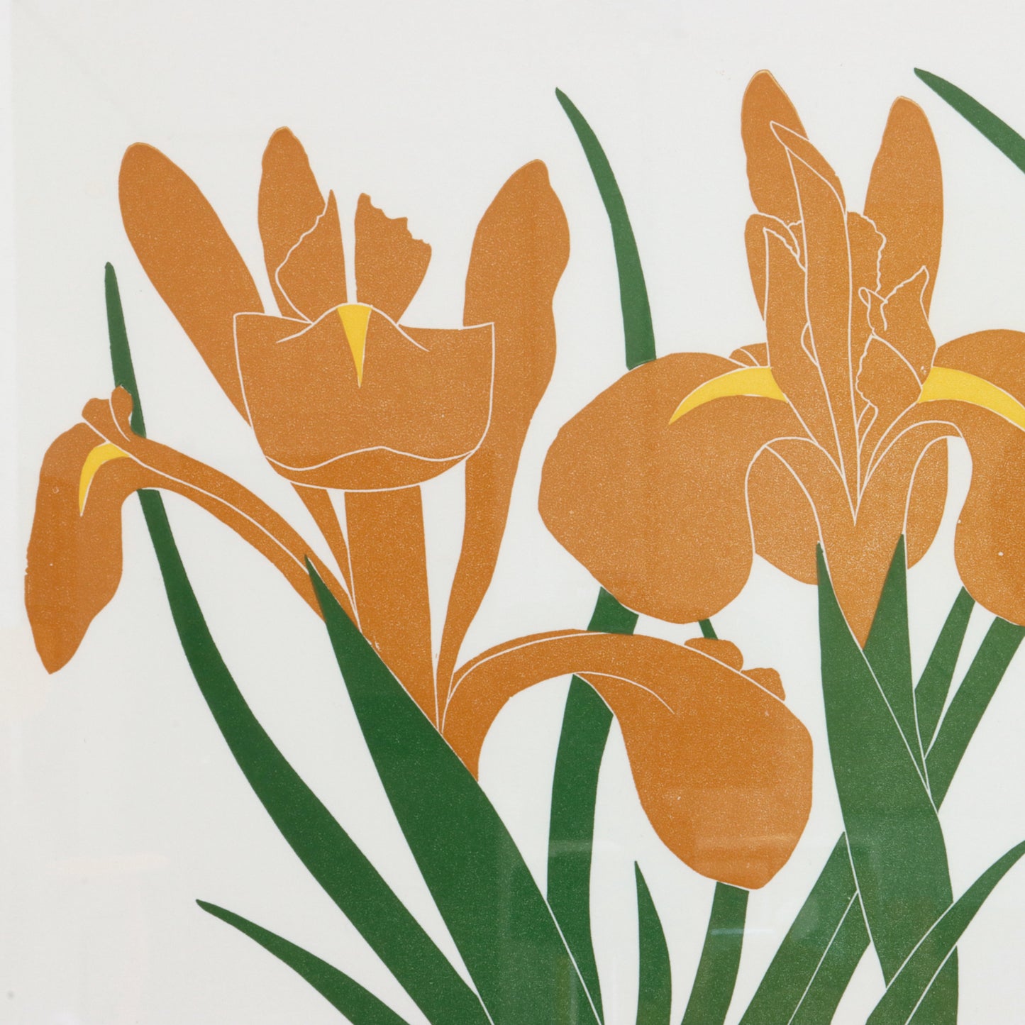 1983 "Iris" by Henry Evans