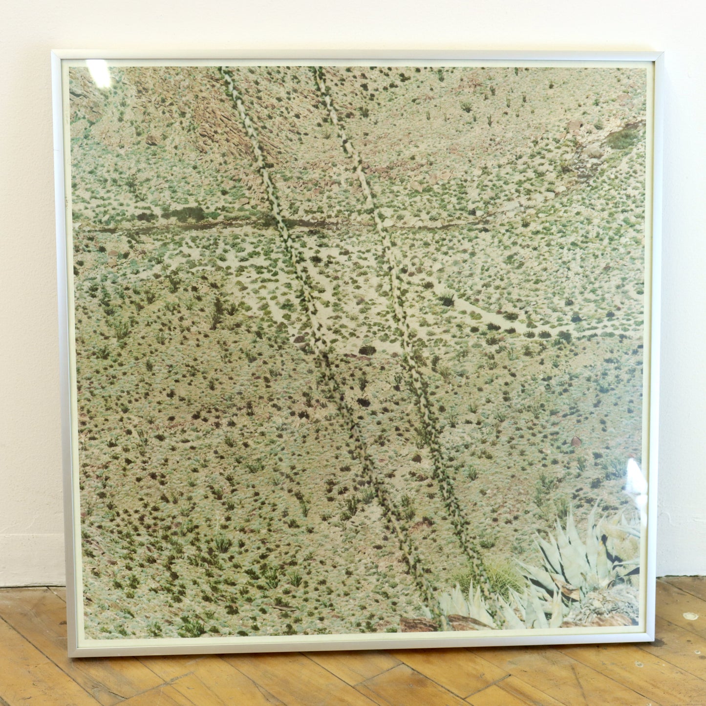 Vintage Ocotillo Flats Photograph Print