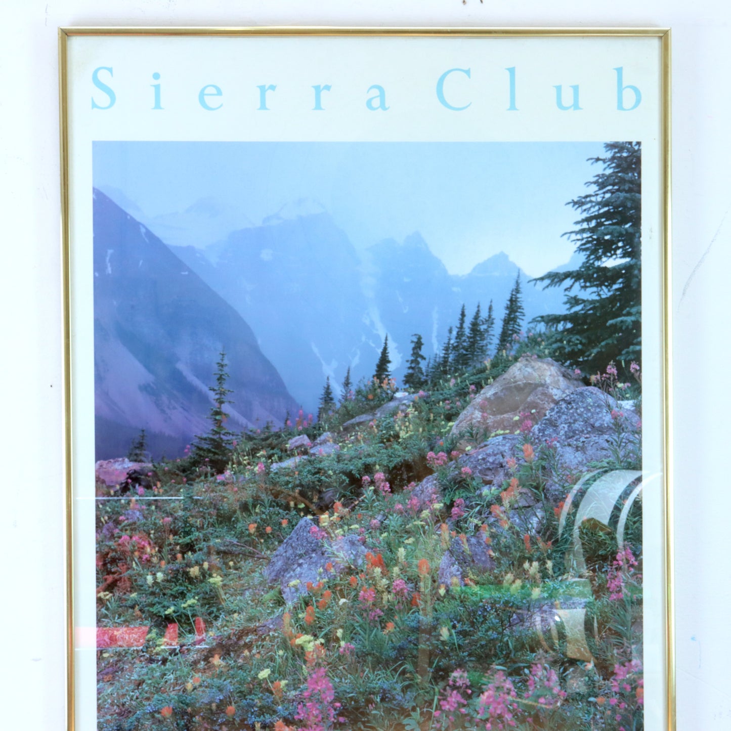 Vintage Framed Sierra Club Poster