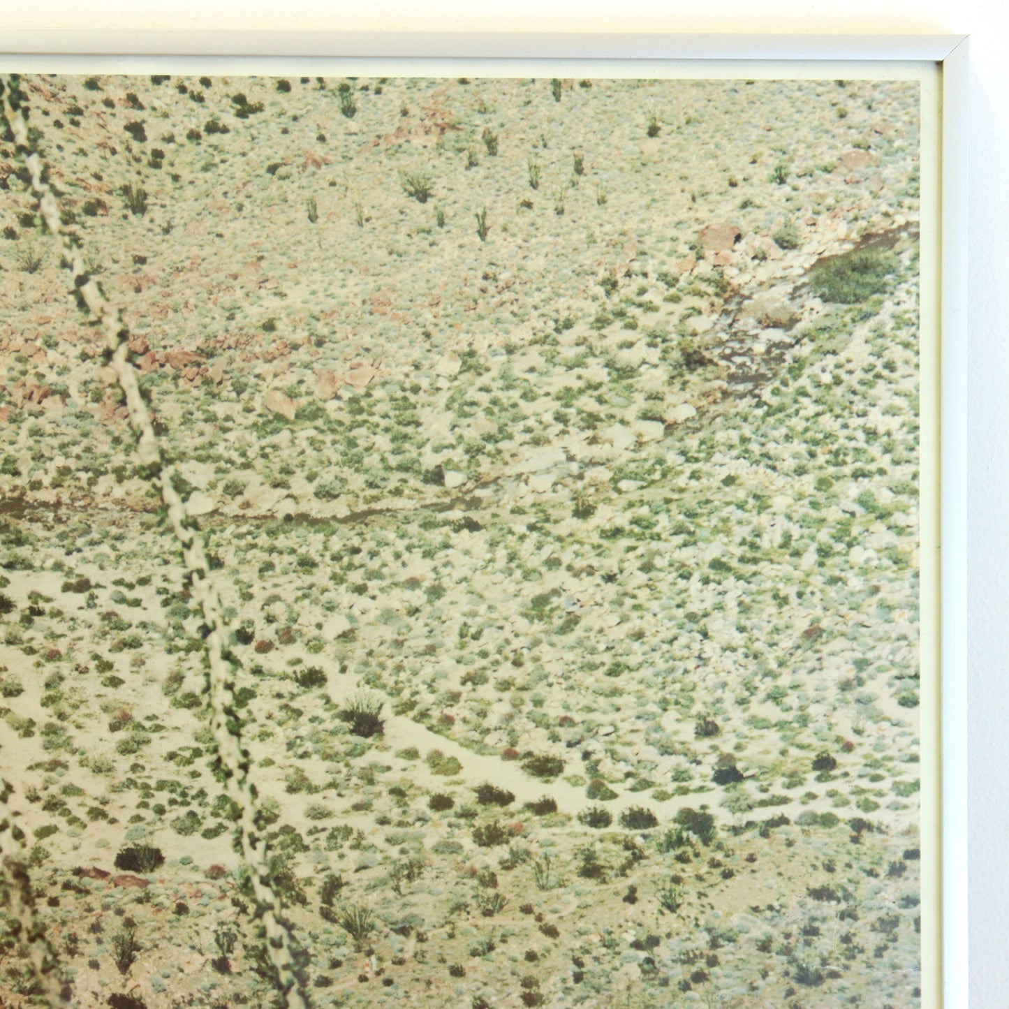 Vintage Ocotillo Flats Photograph Print