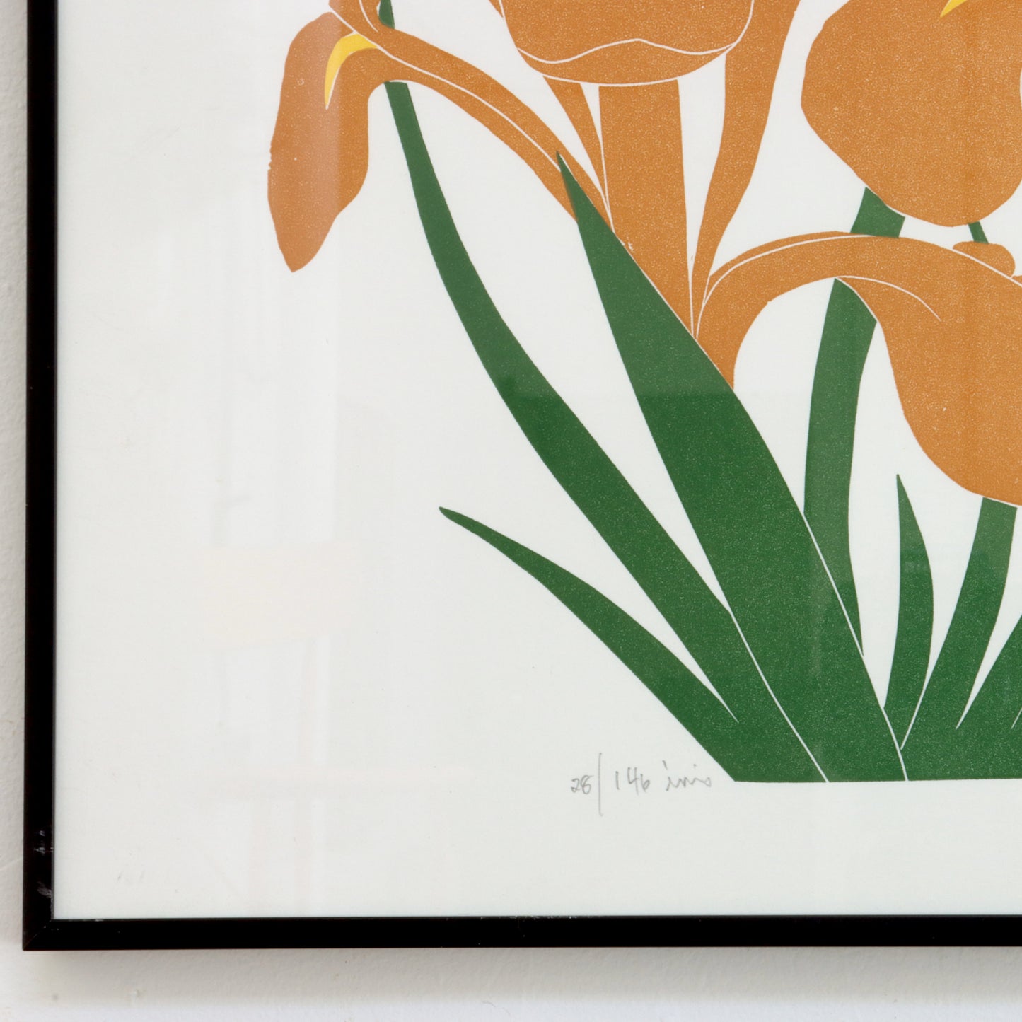 1983 "Iris" by Henry Evans