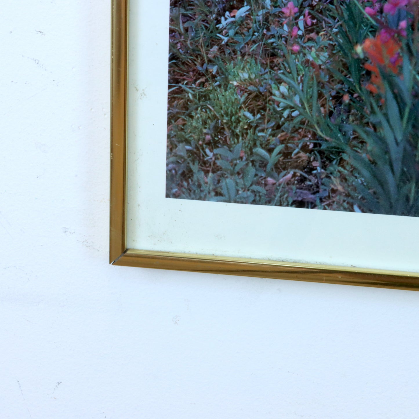 Vintage Framed Sierra Club Poster