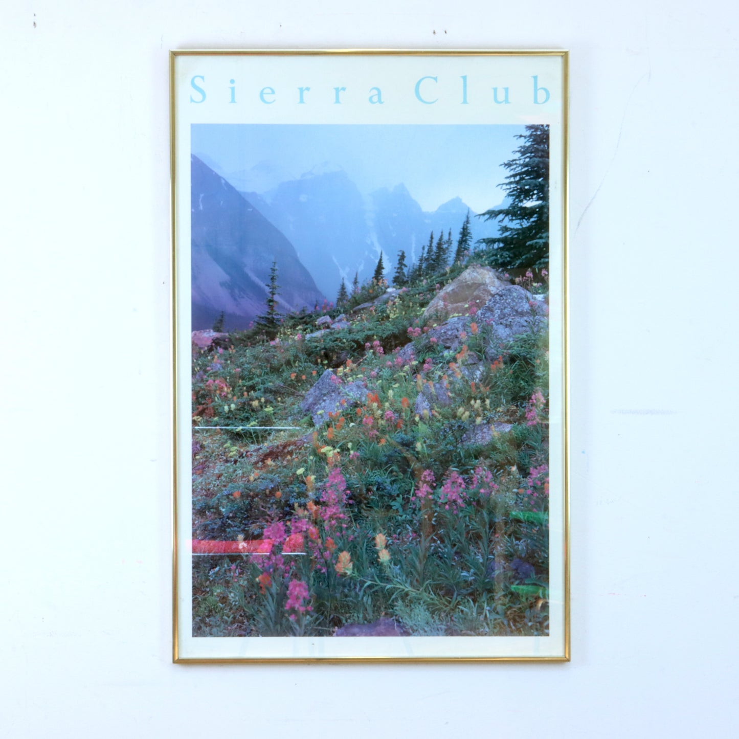 Vintage Framed Sierra Club Poster