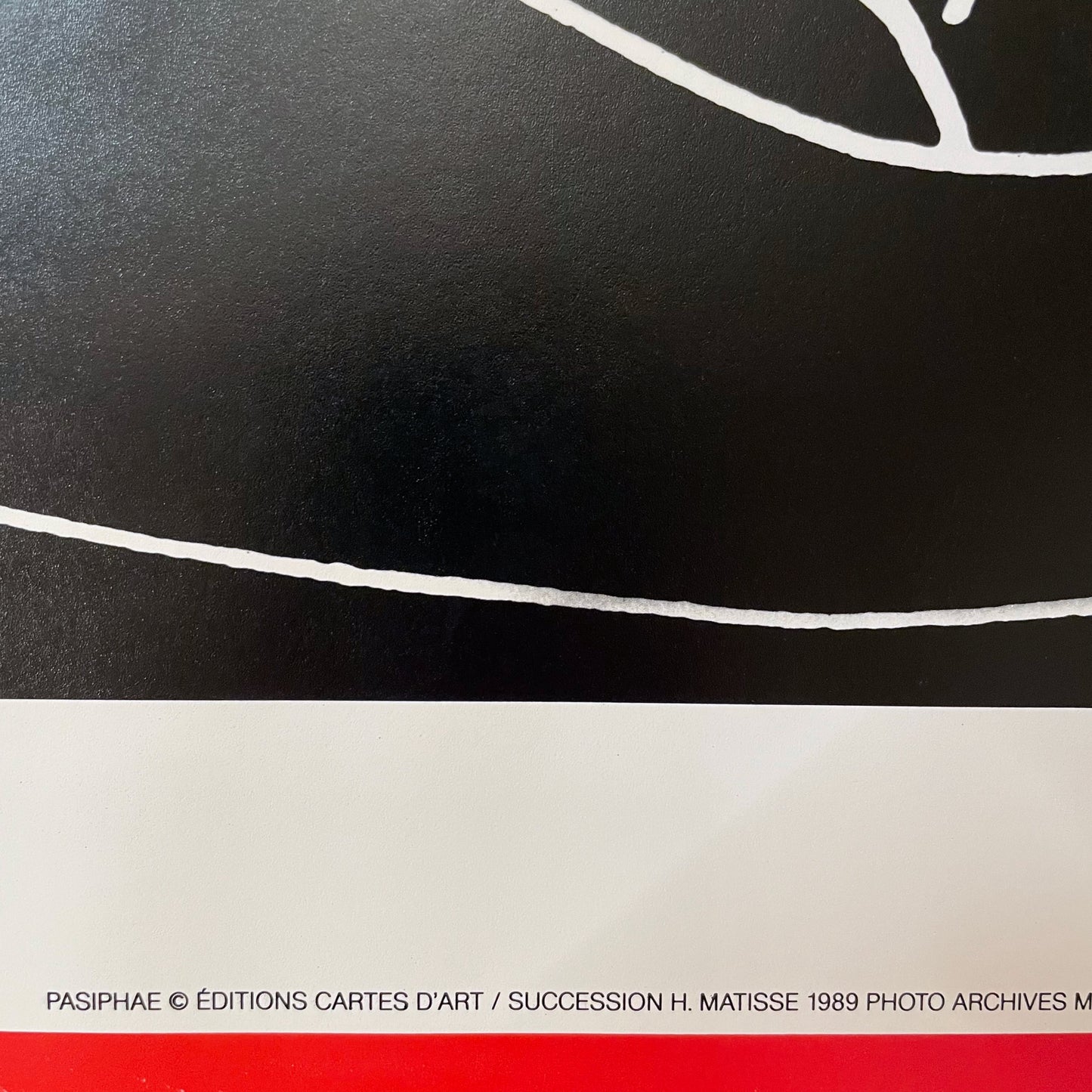 1989 Matisse "Pasiphae" Print
