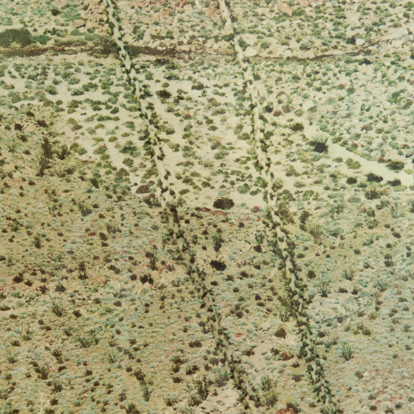 Vintage Ocotillo Flats Photograph Print