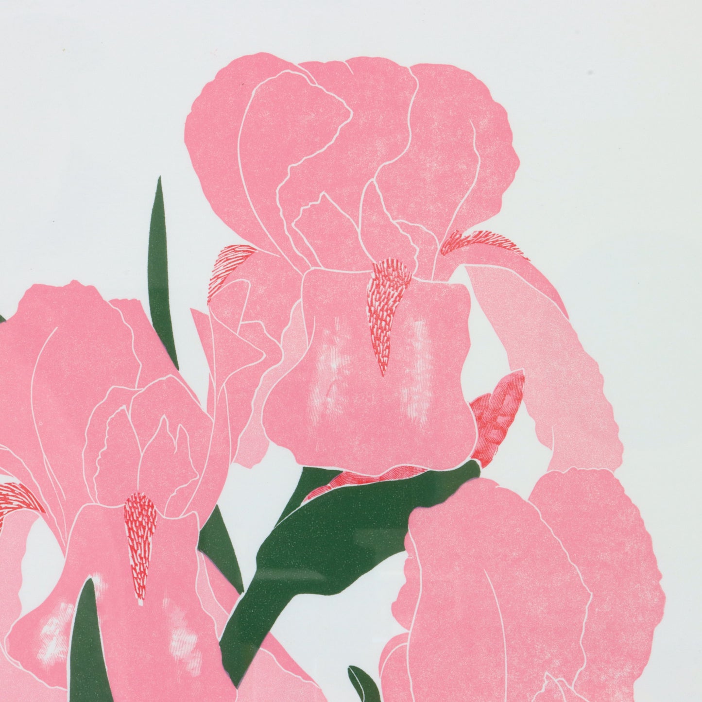 1983 "Iris" by Henry Evans