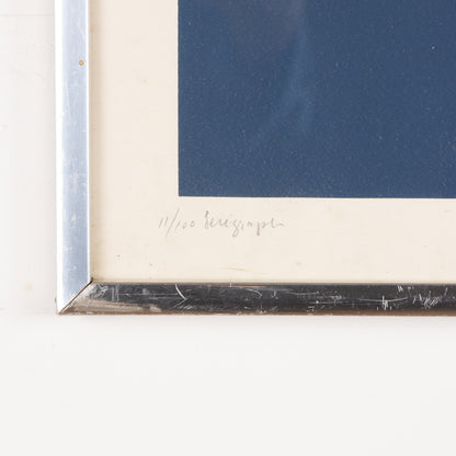 1970s Screenprint-"Parakeets"