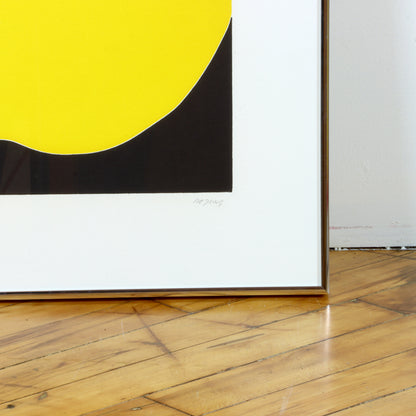 Pair of Vintage Apple Prints by Thom De Jong